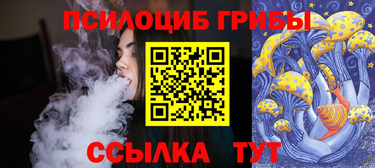 Псилоцибиновые грибы прущие грибы  Галлюциногенные грибы Cubensis  Зима  дарнет шоп  Вход с VPN 